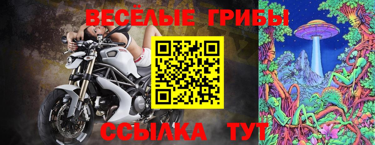 Шуя  Галлюциногенные грибы прущие грибы  Галлюциногенные грибы MAGIC MUSHROOMS  Вход с VPN 