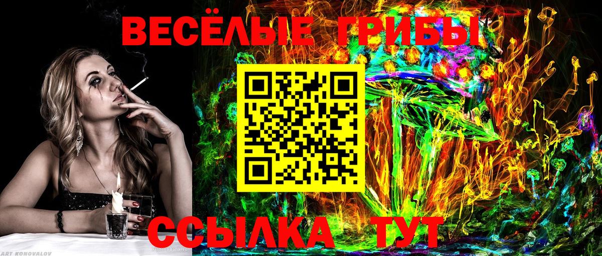 Псилоцибиновые грибы ЛСД Шуя